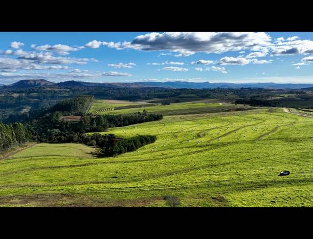 FARM FOR SALE IN MOUNT VERDE